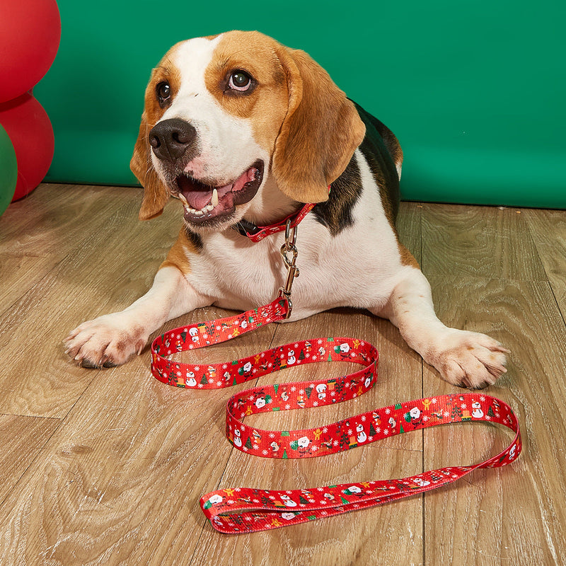 HKM-4970045 Christmas-Themed Pet Collar and Leash Set - Red and Green Polyester Options