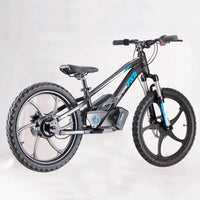 HKM-497491 20" Electric Balance Bike with 600W Hub Motor and Hydraulic Disc Brake