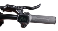 HKM-497491 20" Electric Balance Bike with 600W Hub Motor and Hydraulic Disc Brake