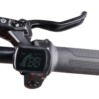 HKM-497491 20" Electric Balance Bike with 600W Hub Motor and Hydraulic Disc Brake