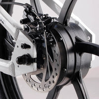 HKM-497491 20" Electric Balance Bike with 600W Hub Motor and Hydraulic Disc Brake
