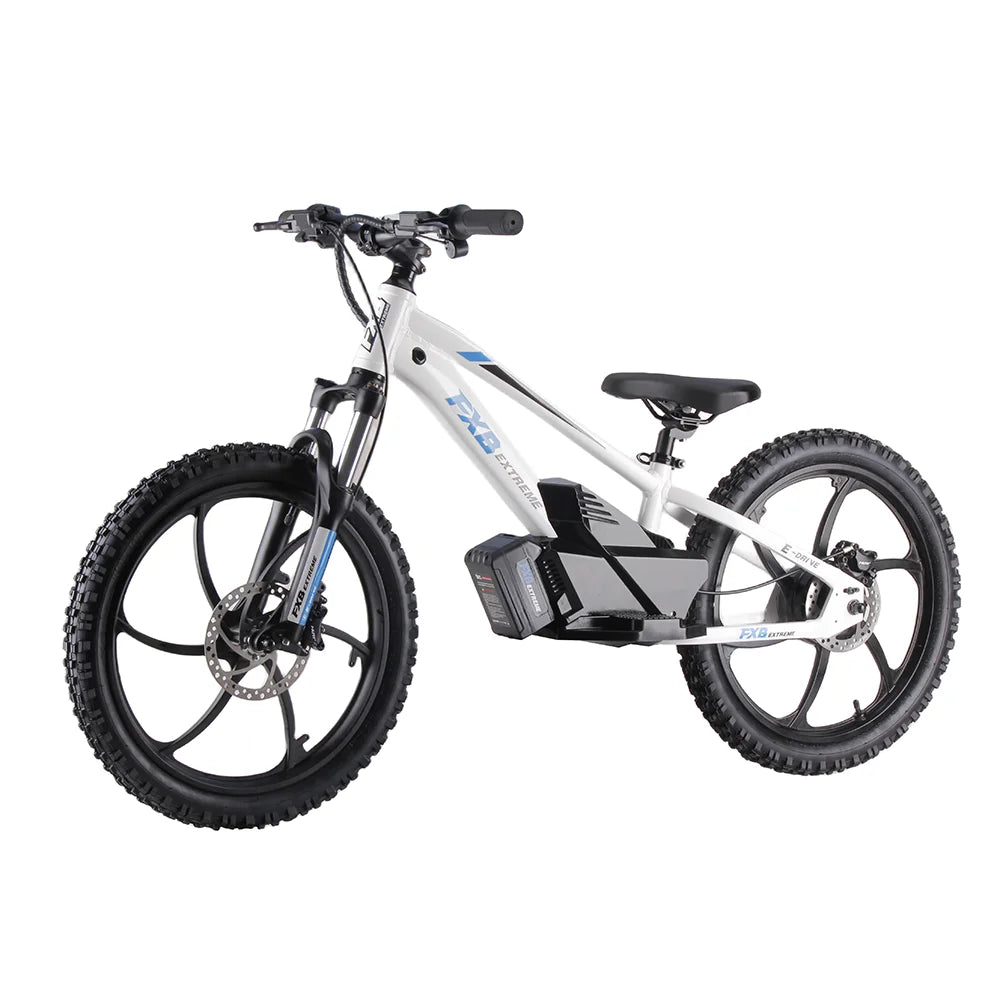 HKM-497491 20" Electric Balance Bike with 600W Hub Motor and Hydraulic Disc Brake