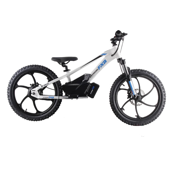 HKM-5088467 20-Inch Electric Mountain Bike with Brushless Hub Motor, Hydraulic Disc Brakes and 80mm Adjustable Front Suspension