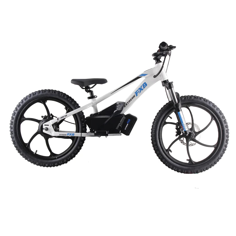 HKM-497491 20" Electric Balance Bike with 600W Hub Motor and Hydraulic Disc Brake
