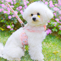 HKM-4975805 Small Dog Vest with Traction Belt and Leash in Multiple Colors