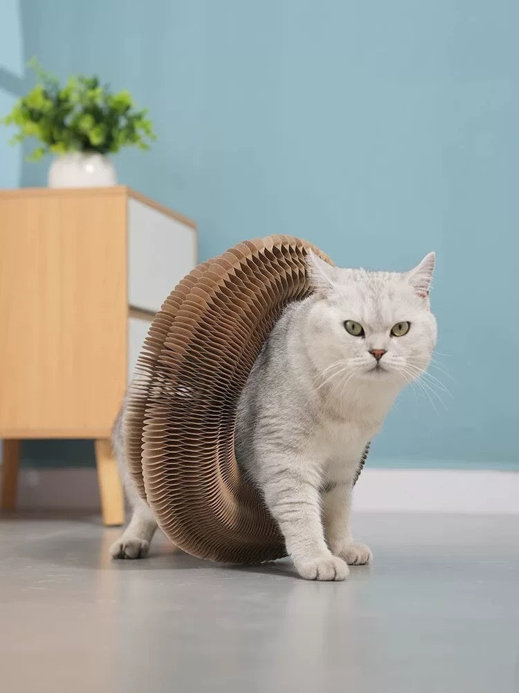 HKM-4976189 Foldable Cat Scratcher Toy for Relaxation and Play - Compact Design