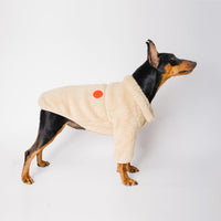 HKM-4976573 Lapel Flannelette Cotton Suit for Small and Medium Dogs in Green Khaki