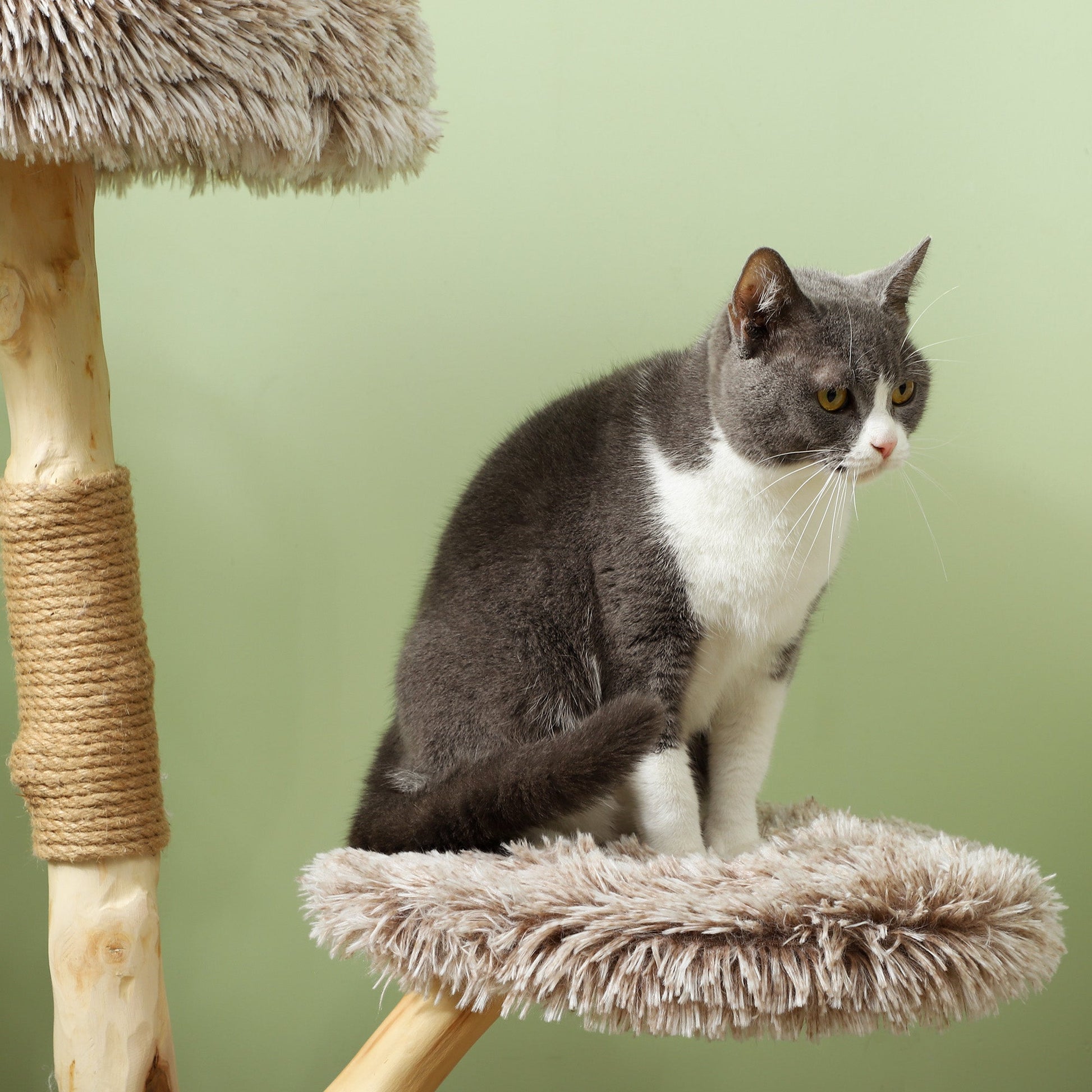 HKM-4979261 35-Inch Indoor Cat Tree with Wooden Scratching Posts, Plush Cat Bed, and Rope Toy in Brown
