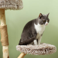 HKM-4979261 35-Inch Indoor Cat Tree with Wooden Scratching Posts, Plush Cat Bed, and Rope Toy in Brown