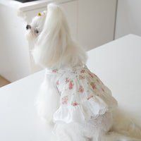 HKM-4983357 Floral Lace Dog Skirt - Cotton Dress for Small Dogs in Multiple Sizes