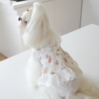 HKM-4983357 Floral Lace Dog Skirt - Cotton Dress for Small Dogs in Multiple Sizes