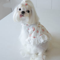 HKM-4983357 Floral Lace Dog Skirt - Cotton Dress for Small Dogs in Multiple Sizes