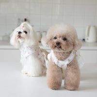 HKM-4983357 Floral Lace Dog Skirt - Cotton Dress for Small Dogs in Multiple Sizes