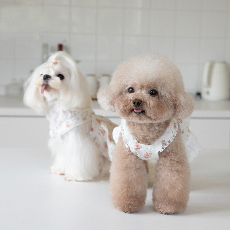 HKM-4983357 Floral Lace Dog Skirt - Cotton Dress for Small Dogs in Multiple Sizes