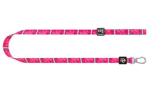 HKM-4985533 Durable Polyester Fiber Leash for Small, Medium, and Large Dogs with Strong Zinc Alloy Hardware