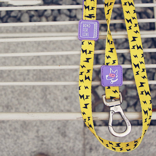 HKM-4985533 Durable Polyester Fiber Leash for Small, Medium, and Large Dogs with Strong Zinc Alloy Hardware