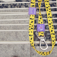 HKM-4985533 Durable Polyester Fiber Leash for Small, Medium, and Large Dogs with Strong Zinc Alloy Hardware