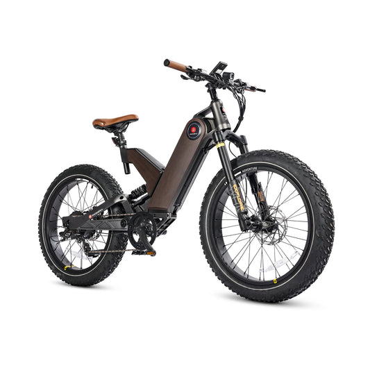 HKM-498771 750W Torque Sensor Electric Fat Tire Bike with 7-Speed Gear and 80-Mile Range