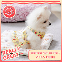 HKM-4988989 Cute Angel Wings Dog Harness Dress and Leash Set for Small Breeds