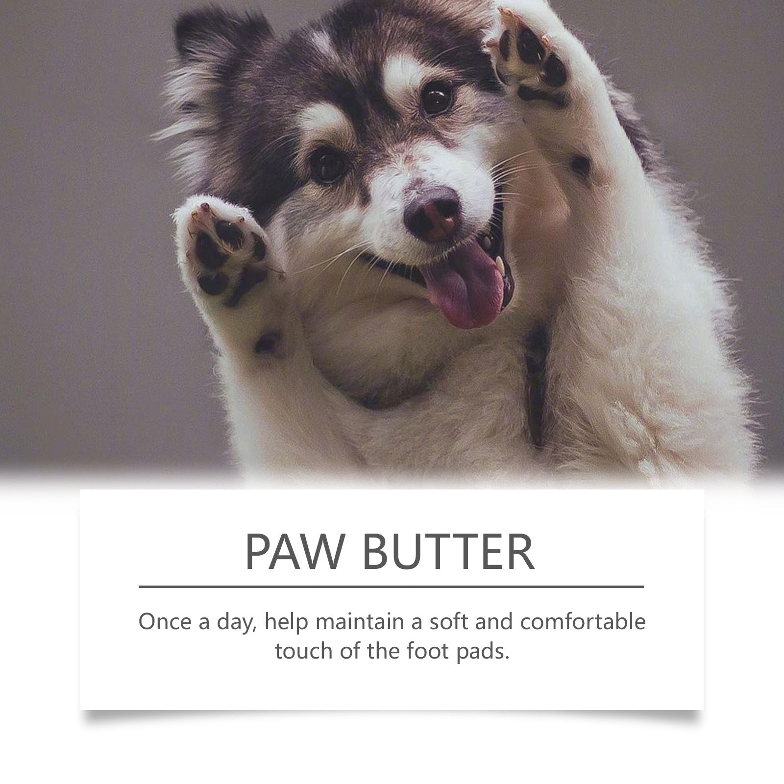 HKM-4989373 Dog Paw Moisturizing Cream for Soothing and Care - 30g