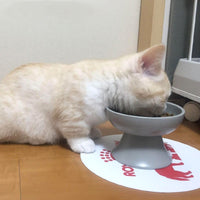 HKM-4997437 Elevated Ceramic Cat Bowl in Ice Cream Solid Colors for Cervical Support
