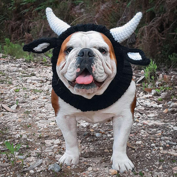 HKM-5001789 Knitted Thermal and Windproof Dog Hat for All Seasons - Available in Various Designs