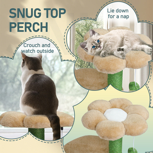 HKM-5012029 Multi-Level Cat Tree with Cozy Condo, Curved Perch, and Plush Top Bed – Ideal for Kittens and Small Cats, Beige & Green