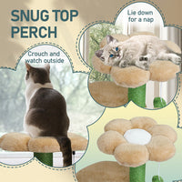 HKM-5012029 Multi-Level Cat Tree with Cozy Condo, Curved Perch, and Plush Top Bed – Ideal for Kittens and Small Cats, Beige & Green