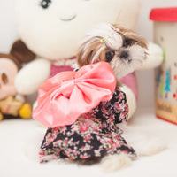 HKM-5012925 Stylish Pet Kimono for Dogs - Spring and Summer Apparel in Multiple Sizes