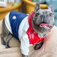 HKM-5013181 Three-Color Cotton-Padded Pet Vest for Autumn and Winter - Sizes XS to 2XL