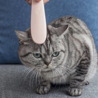 HKM-5015997 Durable Cat Grooming Comb with Tongue Massager for Comfortable Pet Care