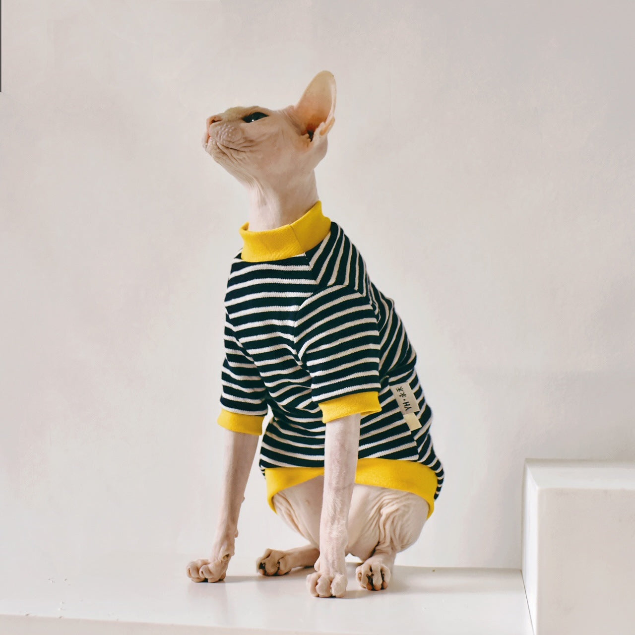 HKM-5018685 Sphinx Hairless Cat Cotton Clothing - Black, Multiple Sizes Available