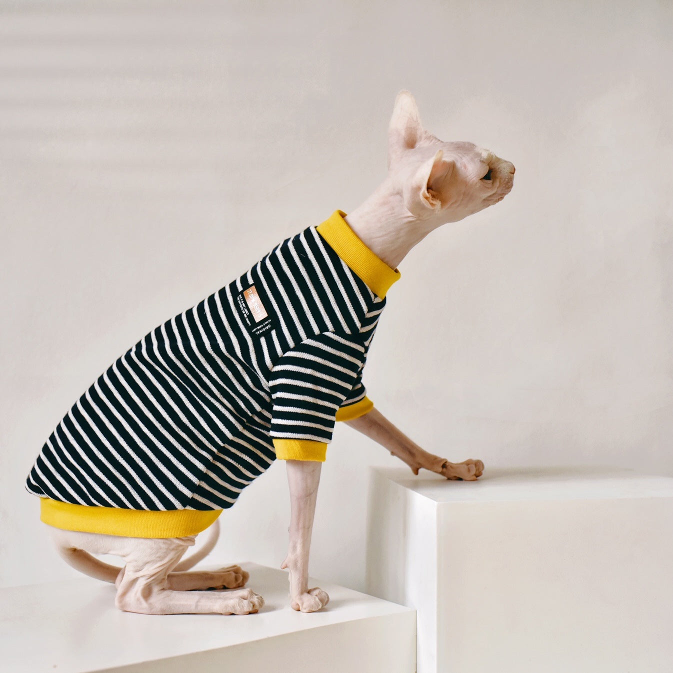 HKM-5018685 Sphinx Hairless Cat Cotton Clothing - Black, Multiple Sizes Available
