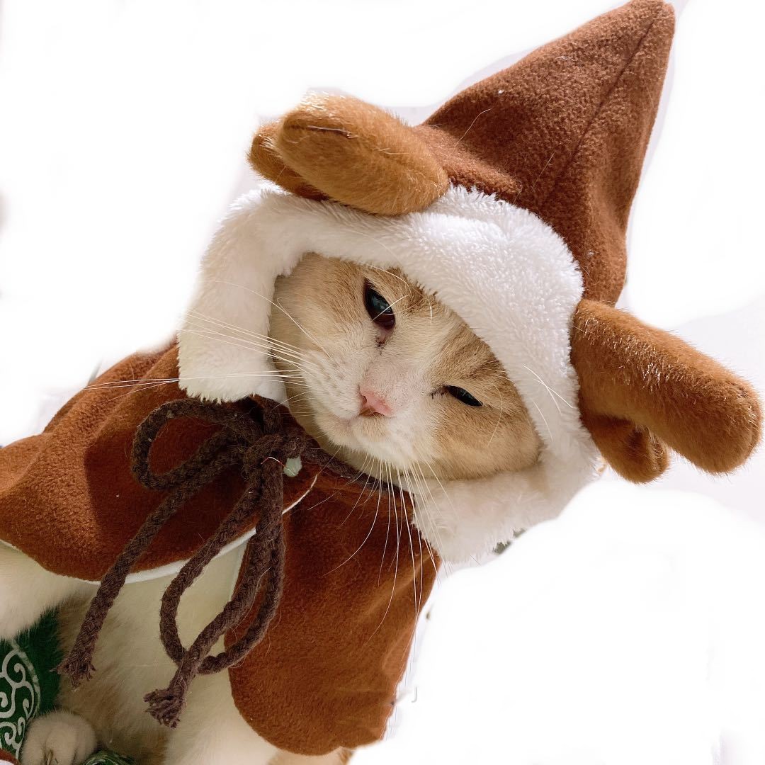 HKM-5019069 Christmas-Themed Shawl Cloak for Small Dogs and Cats - Available in Red, Green, and Elk Print