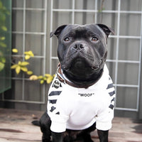 HKM-5019581 Plush Cotton Dog Sweater for Cozy Comfort