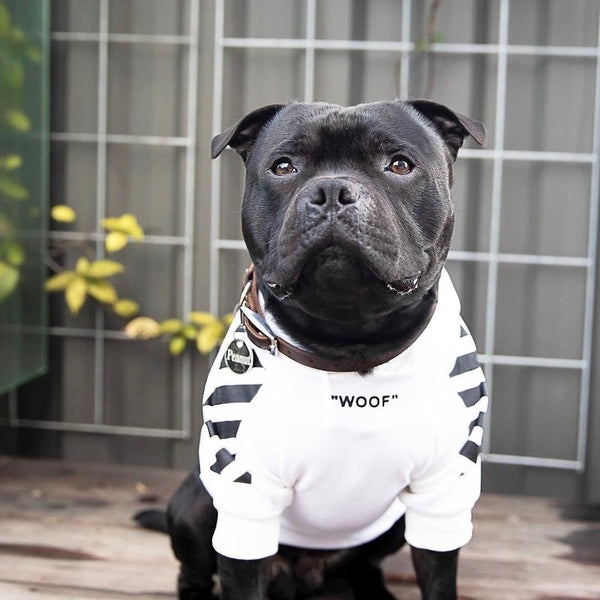 HKM-5019581 Plush Cotton Dog Sweater for Cozy Comfort