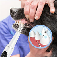 HKM-5021757 Electric Tooth Cleaner for Pets with 2 Cleaning Heads and USB Charger Kit for Dental Care
