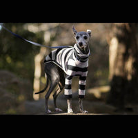 HKM-5022653 Comfortable Fleece High Necked Striped Two-Legged Dog Clothing in Black, Purple, Dark Blue, Camel