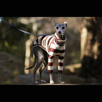 HKM-5022653 Comfortable Fleece High Necked Striped Two-Legged Dog Clothing in Black, Purple, Dark Blue, Camel