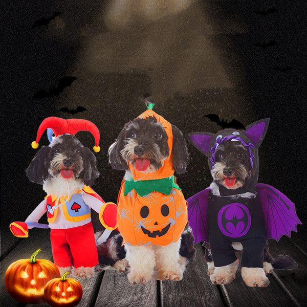 HKM-5030589 Colorful Universal Pet Clothes - Multiple Designs Available in S, M, L, XL Sizes