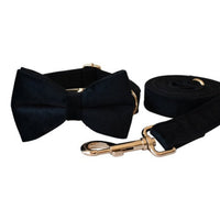 HKM-5031997 Double Layer Microfiber Velvet Collar and Leash Set with Alloy Buckle in Rose Gold