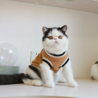 HKM-5041341 Fashionable Fleece Cat Knit Sweater Vest in Green, Khaki, and Wine Red – Sizes S to 3XL