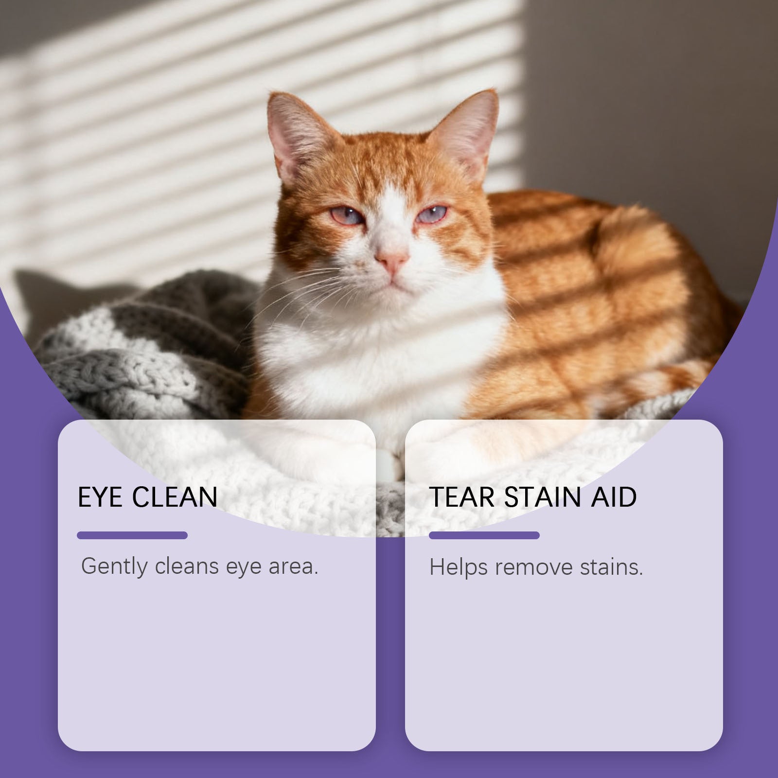 HKM-5049149 Hypoallergenic Eye Cleaning Wipes for Pets - 50 Count Pack with Aloe Vera and Coconut Oil