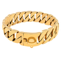HKM-5049277 Gold Stainless Steel Dog Collar - 32mm Width, Multiple Lengths Available (40cm to 65cm)