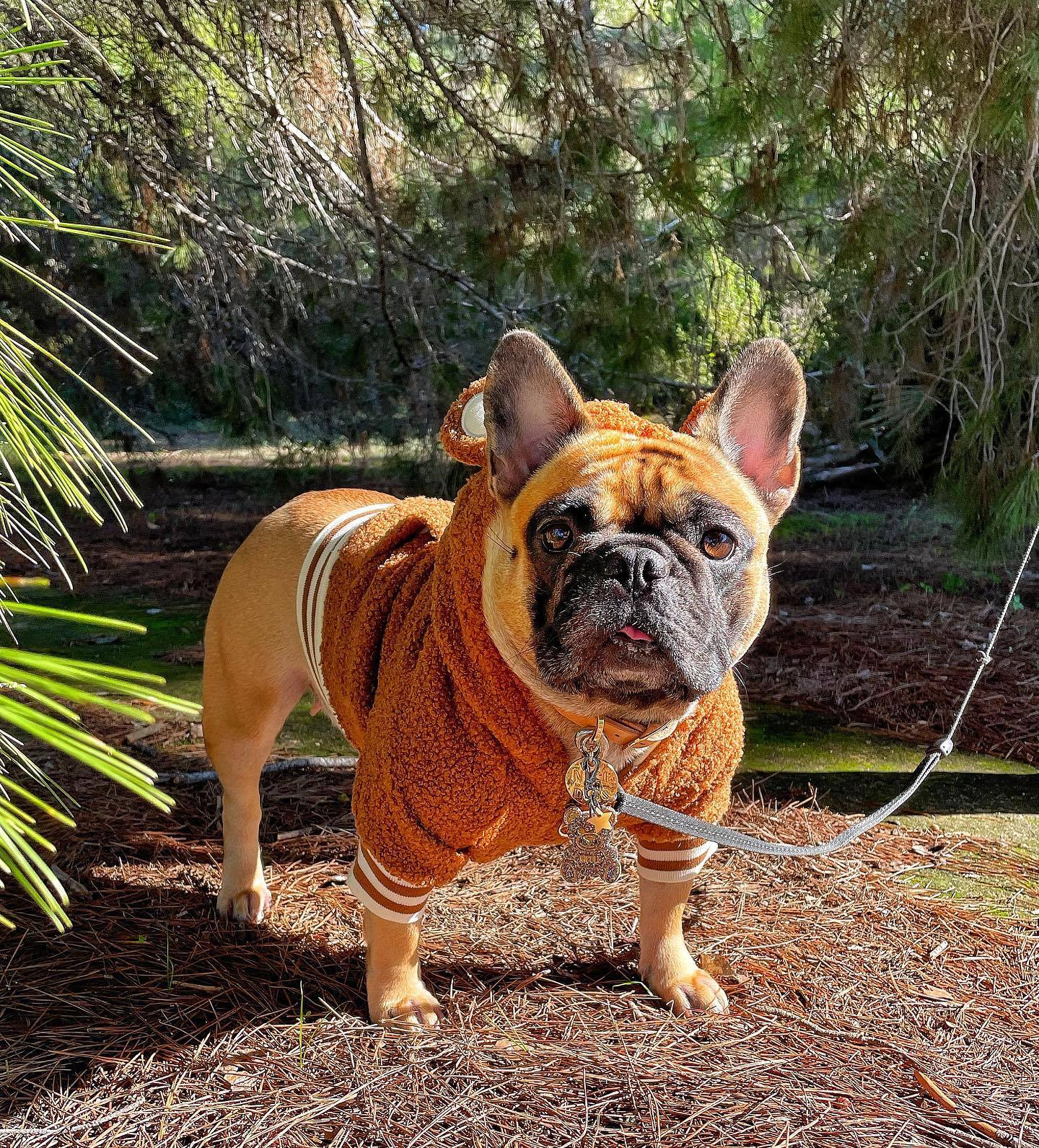 HKM-5052349 Warm & Cozy Ear-Standing Fleece-Lined Pet Sweater in Brown and Pink, Sizes M-2XL