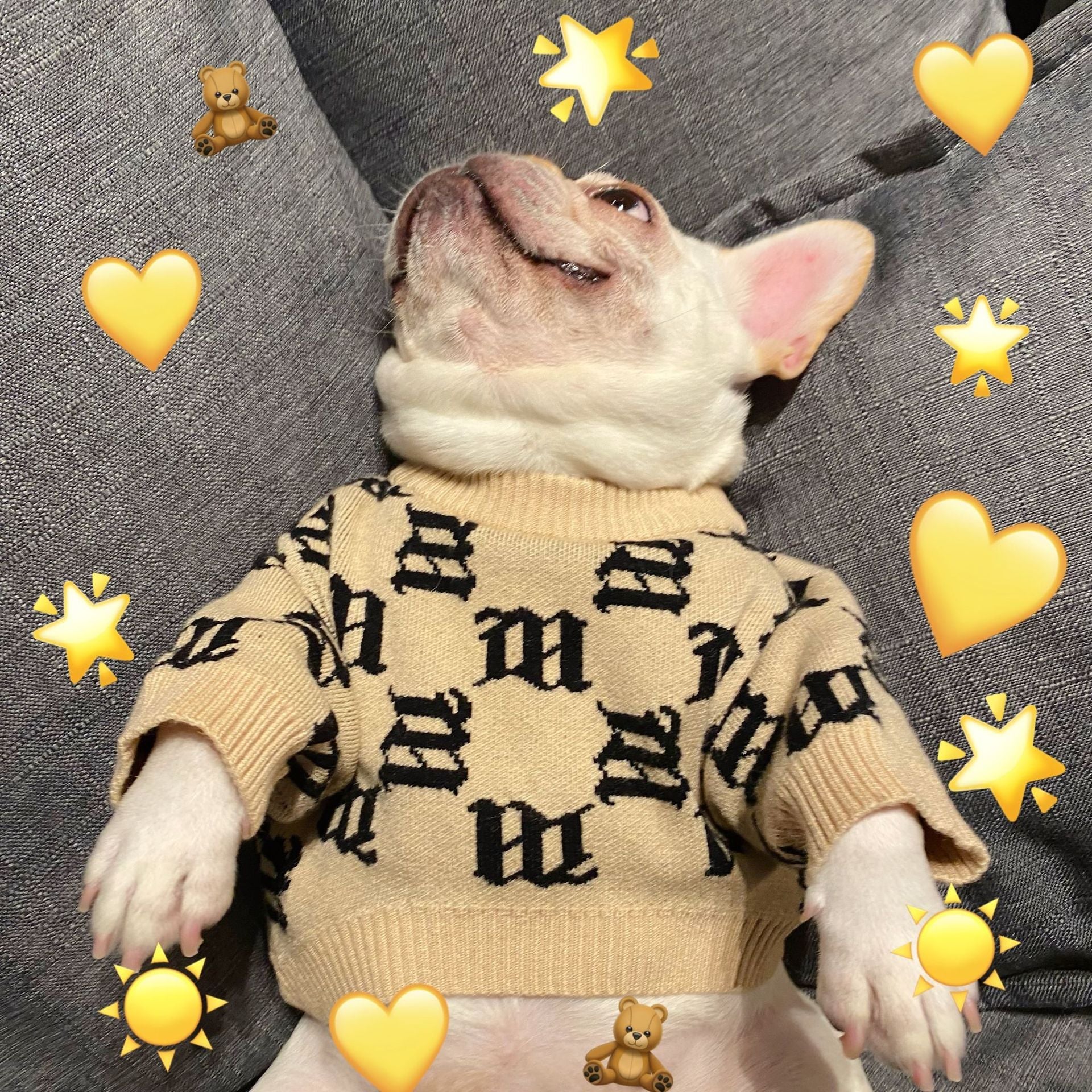 HKM-5060797 Cozy Yellow Wool Sweater for Schnauzer Dogs in Multiple Sizes