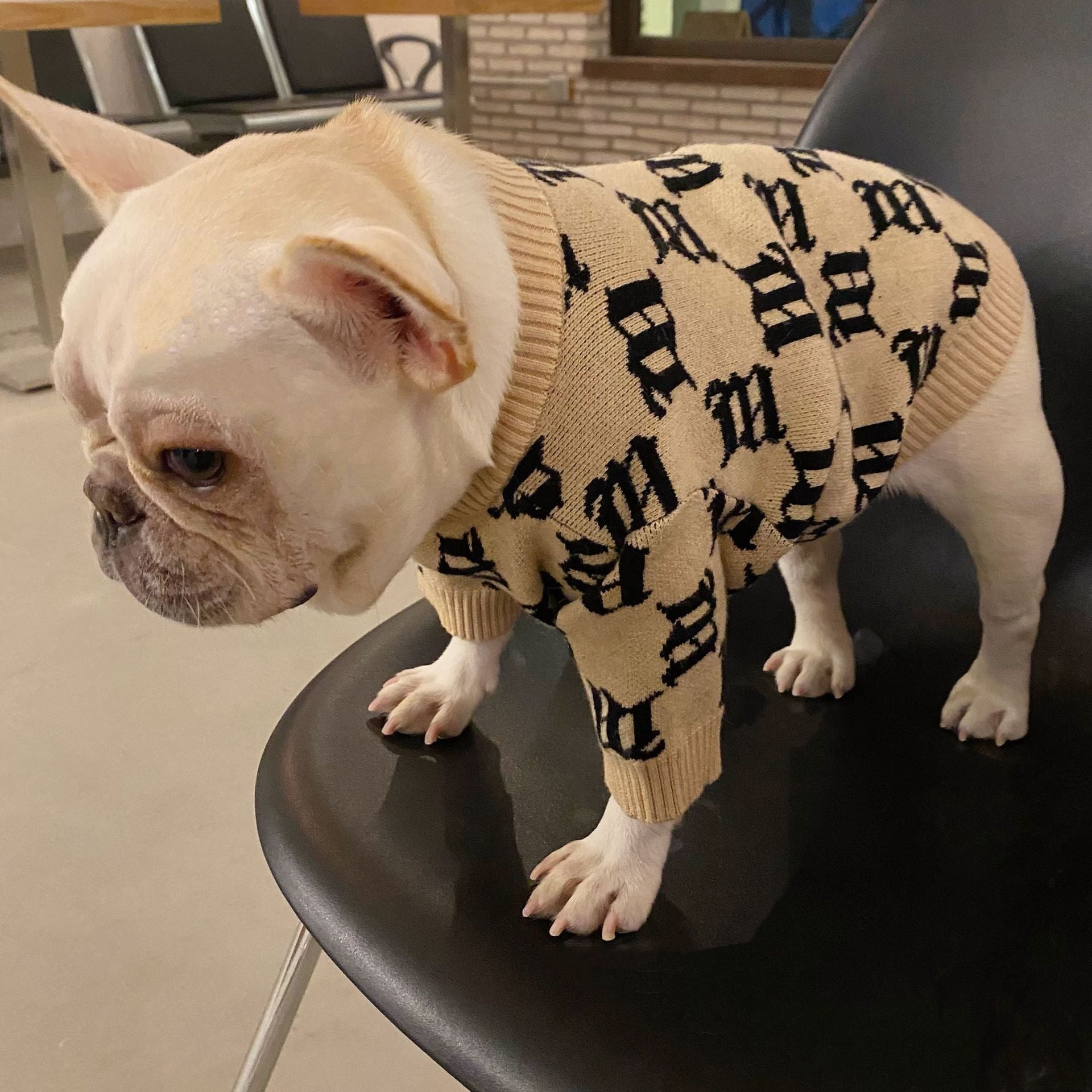 HKM-5060797 Cozy Yellow Wool Sweater for Schnauzer Dogs in Multiple Sizes