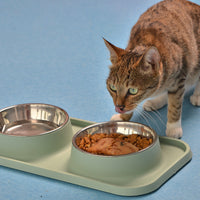 HKM-5062973 Non-slip Stainless Steel Double Bowl Pet Feeder with Plastic Base