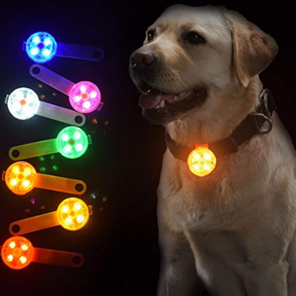 HKM-5064253 Luminous LED Pet Pendant Light for Safety and Visibility during Night Walks