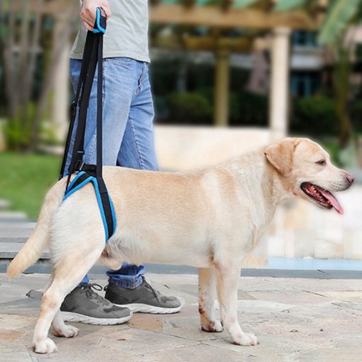 HKM-5067837 Adjustable Dog Hind Leg Support Harness for Easy Walking and Mobility